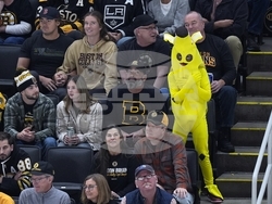 Kings Bruins Hockey