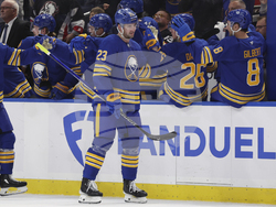 Panthers Sabres Hockey