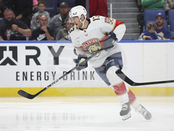 Panthers Sabres Hockey