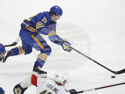 Panthers Sabres Hockey