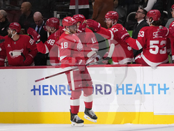 Predators Red Wings Hockey