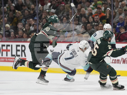 Kraken Wild Hockey