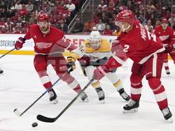 Predators Red Wings Hockey