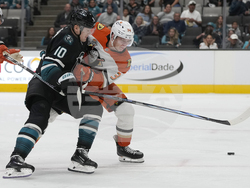 Ducks Sharks Hockey