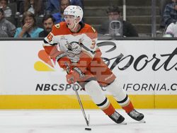 Ducks Sharks Hockey