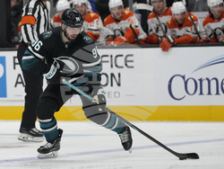 Ducks Sharks Hockey