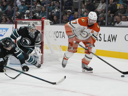 Ducks Sharks Hockey