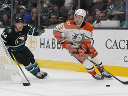 Ducks Sharks Hockey