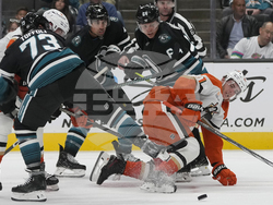 Ducks Sharks Hockey