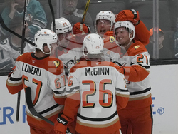 Ducks Sharks Hockey