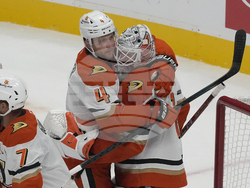 Ducks Sharks Hockey