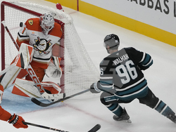 Ducks Sharks Hockey