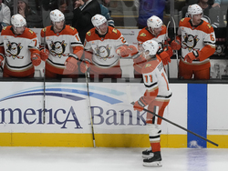 Ducks Sharks Hockey