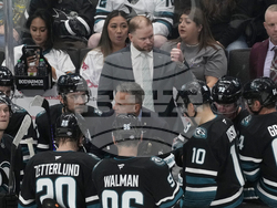 Ducks Sharks Hockey