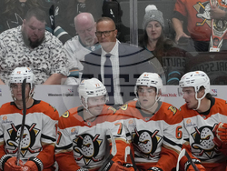 Ducks Sharks Hockey
