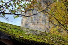 Трън - есенен изглед над екопътека "Ждрелото на река Ерма"