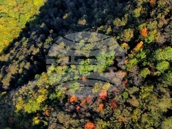 Трън - есенен изглед над екопътека "Ждрелото на река Ерма"