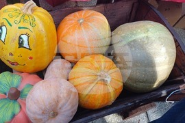 Село Коларово - "Фестивал на кестена"