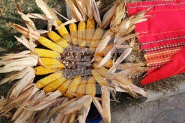 Село Генерал Тодоров - фестивал "Някога...Когато хлябът имаше душа"