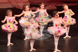 Плевен - балет - благотворителност 