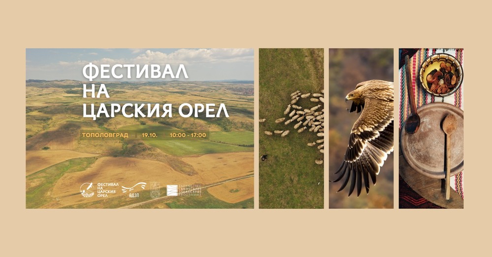 Българско дружество за защита на птиците: Сакар посреща Фестивала на царския орел на 19 октомври в Тополовград