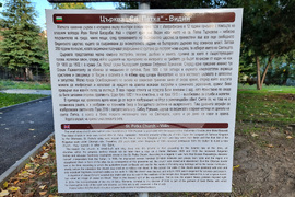 Видин - храм „Св. Петка“ - празник