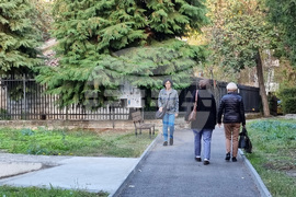 Видин - храм „Св. Петка“ - празник