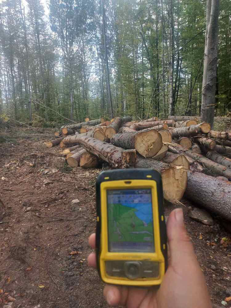 Регионална дирекция по горите – София прекрати дейността в три сечища в землището на Ботевград