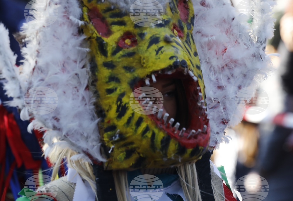 Фестивал „Сурва“