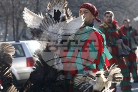 Фестивал „Сурва“