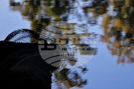 Столица - есен