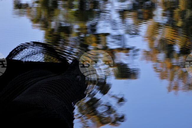 Столица - есен