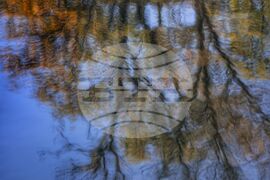 Столица - есен