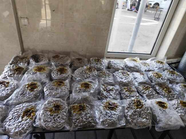 Гранични полицаи и митничари откриха голямо количество марихуана на ГКПП „Лесово“