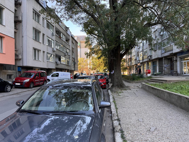 Община Русе започва подмяна на дървесната растителност по част от ул. „Муткурова“