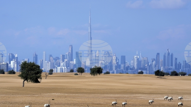 Мигриращите животни са все по-застрашени от изчезване, показва доклад