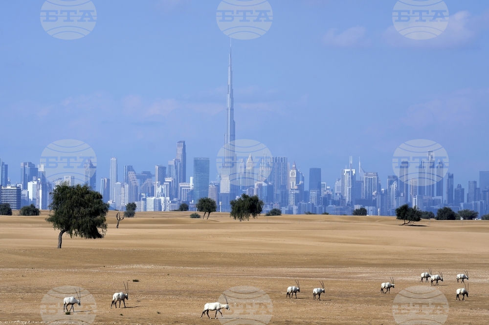 Мигриращите животни са все по-застрашени от изчезване, показва доклад