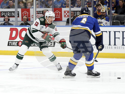 Wild Blues Hockey