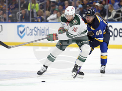 Wild Blues Hockey