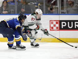 Wild Blues Hockey