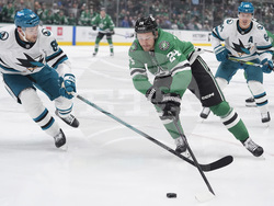 Sharks Stars Hockey