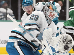 Sharks Stars Hockey