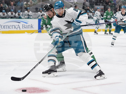 Sharks Stars Hockey