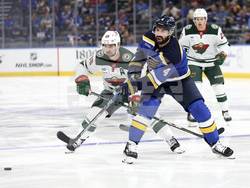 Wild Blues Hockey