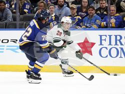 Wild Blues Hockey