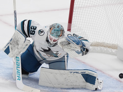 Sharks Stars Hockey