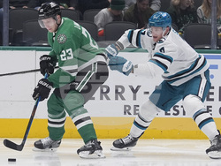 Sharks Stars Hockey