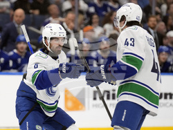 Canucks Lightning Hockey