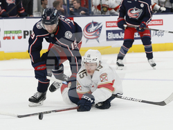 Panthers Blue Jackets Hockey