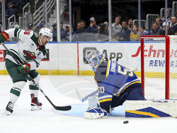 Wild Blues Hockey